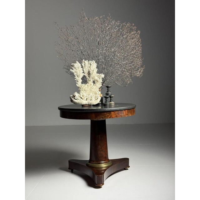 Mahogany Center Table, 19th Century For Sale - Image 15 of 18