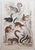 After Cpt. Brown, Big Cat Illustrations, 1835, Prints, Set of 12 For Sale - Image 11 of 14