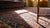 1890s Blue Navy Floral Antique W. Persian Senneh Rug 11' X 11'3" Handknotted Wool Carpet For Sale - Image 9 of 9
