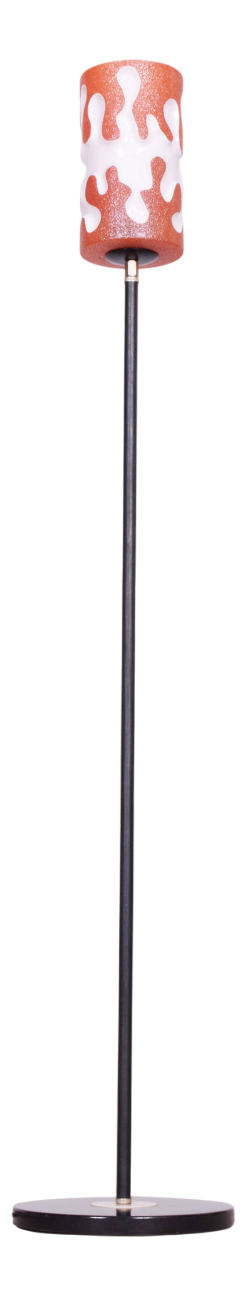 Mid-Century Floor Lamp in Steel, Czechia, 1960s