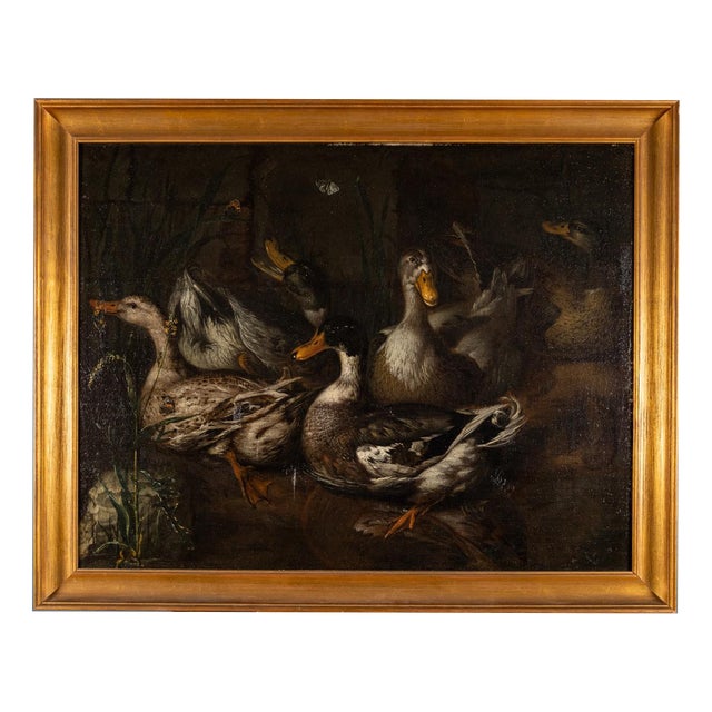 School of Monsù Aurora, Still Life with Ducks, 19th Century, Oil on Canvas For Sale