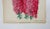 Antique circa 1870's hand colored botanical lithograph book plate of pink Hyacinth flowers by Worthington G. Smith,...