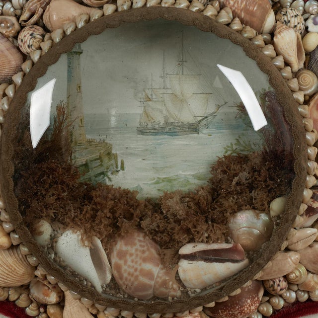 Late 19th Century Antique English Star Form Sailors Valentine For Sale - Image 5 of 10