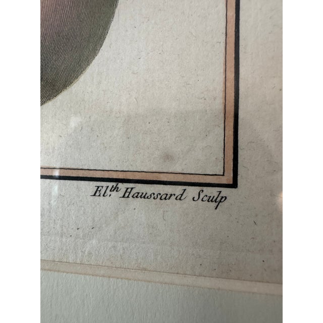 18th Century French Hand-Colored Botanical Pear Engravings – “Bezy De Quessoy” & “Messire-Jean” – Framed Pair For Sale - Image 10 of 12