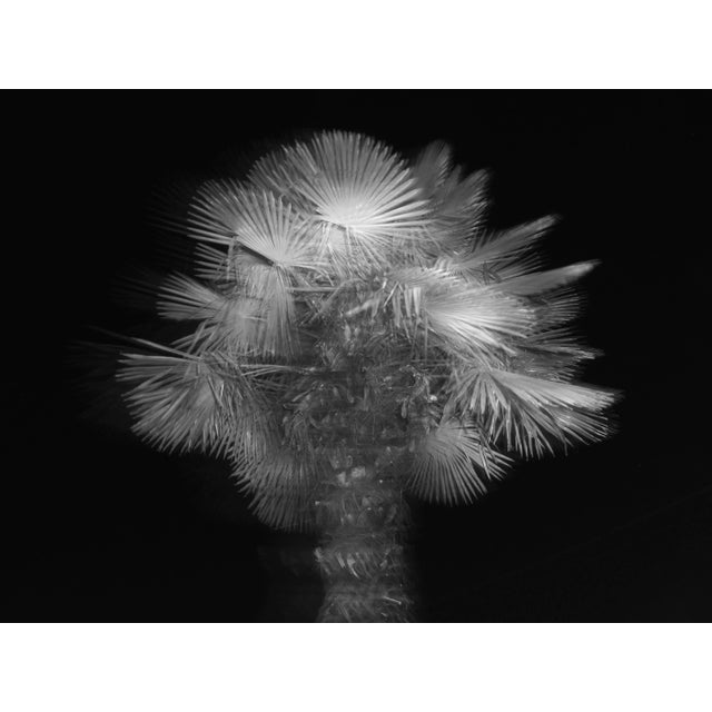 Contemporary Abstract Photographic Black & White Print For Sale