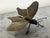 Brass Moth Insect Handmade French 2 X 4 For Sale - Image 4 of 16
