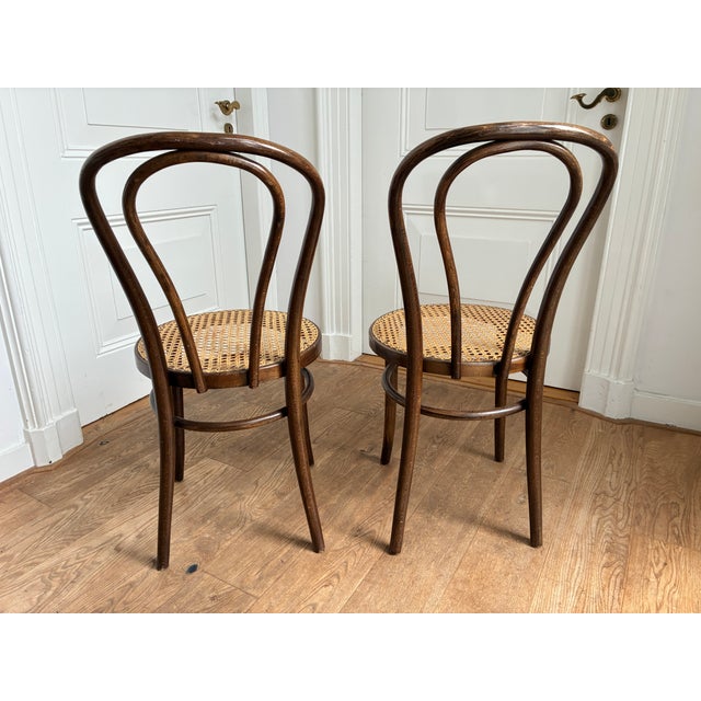 1970s Vintage No. 18 Chairs by ZPM Radomsko for Thonet, 1970s, Set of 2 For Sale - Image 5 of 9