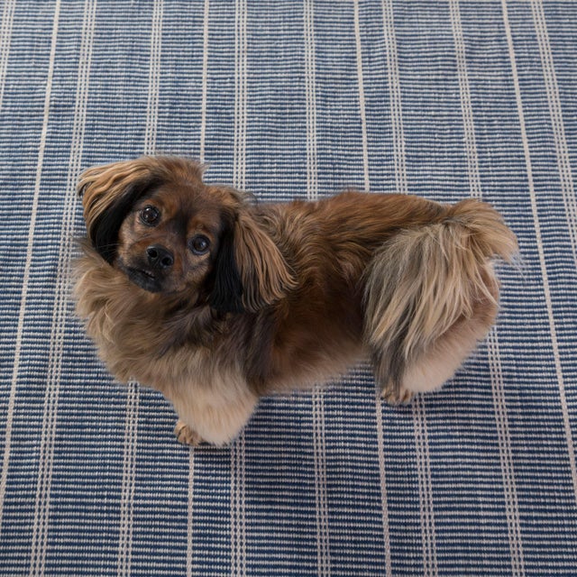 Part of our Bunny Williams collection, this delicately striped, navy indoor/outdoor rug was inspired by an antique rug...