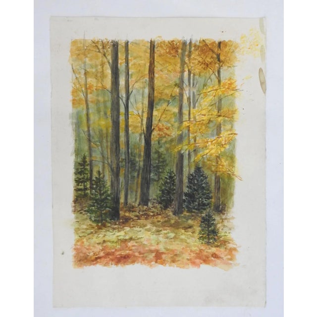 Vintage watercolor on paper painting of autumn woodland forest. Signed Klein lower right. Unframed, age toning, edge wear.