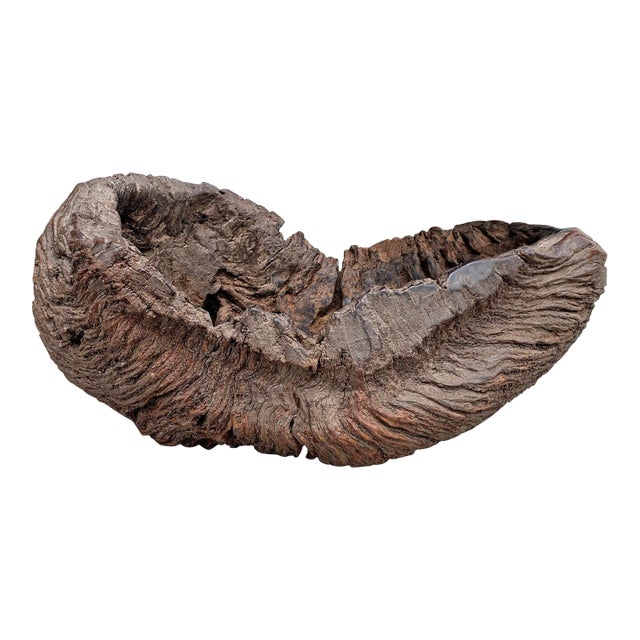 Massive Burl Wood Bowl For Sale