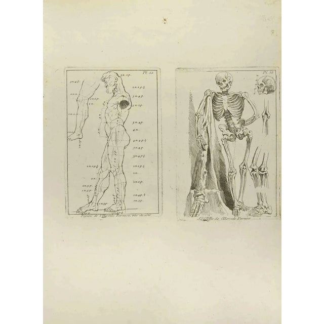 Jean François Poletnich, Hercule, Etching, 18th Century For Sale