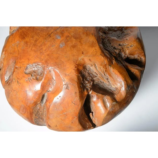 Rare Burl Wood Massive Polished Sphere Sculpture, 21" For Sale - Image 4 of 12