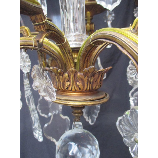 French Gilt Bronze 8 Light Crystal Chandelier Circa 1900 For Sale - Image 18 of 18