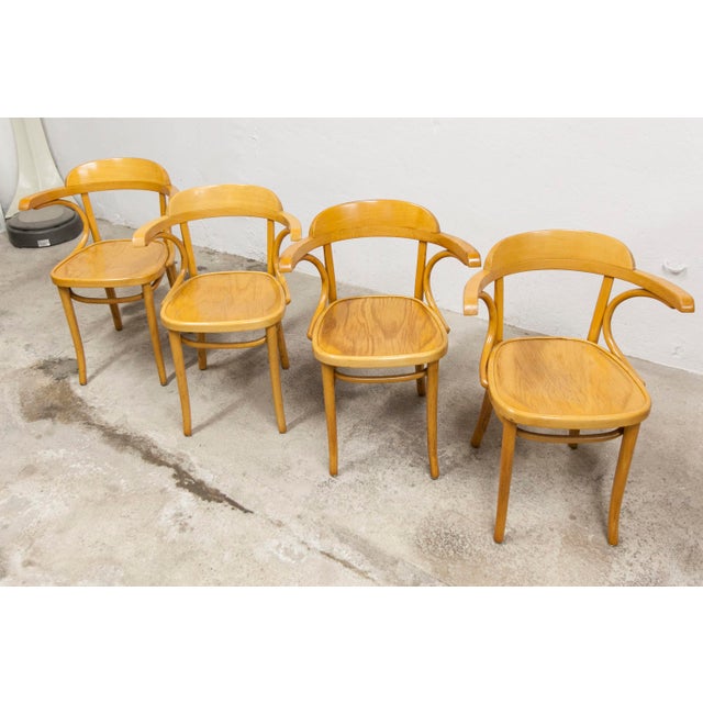 Vintage Bistro Armchairs, 1960s, Set of 4 For Sale - Image 8 of 18