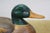 Brown Mid 20th Century Chinese Hand-Carved Wood Mallard Drake and Hen Duck Decoys Pair 10" For Sale - Image 8 of 14
