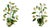 French Tole Painted Daisy Floral Wall Sconces, 1970, Set of 2 For Sale