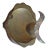Los Castillo Abalone Shell and Brass Fish Platter For Sale