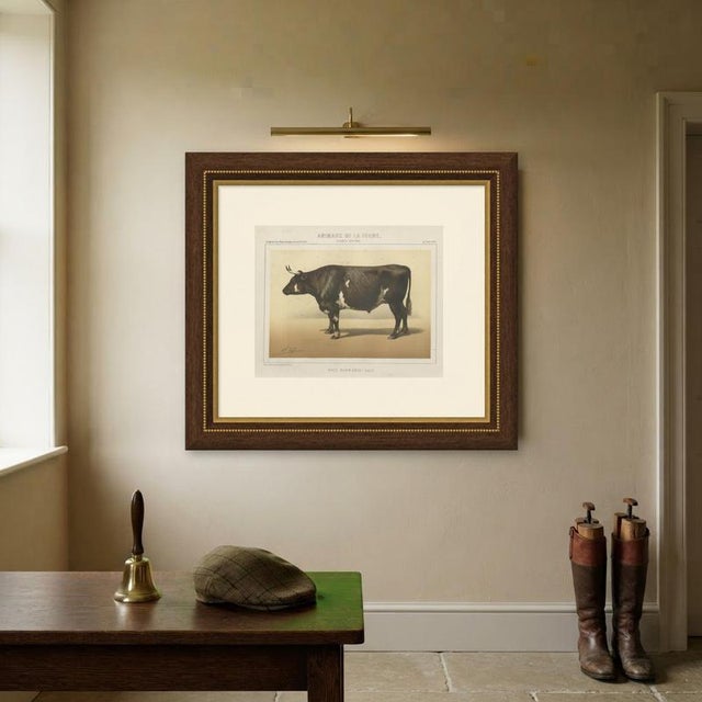 Paper Borie, Normandy Ox, French Cattle Breed, 1863, Chromolithograph For Sale - Image 7 of 9