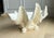 Rare Vintage Winterthur Museum Giant Clam Shell Centerpiece Bowl on Coral Base For Sale - Image 9 of 10