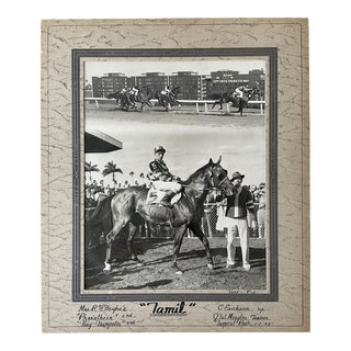 Vintage 1943 Race Horse Photograph For Sale