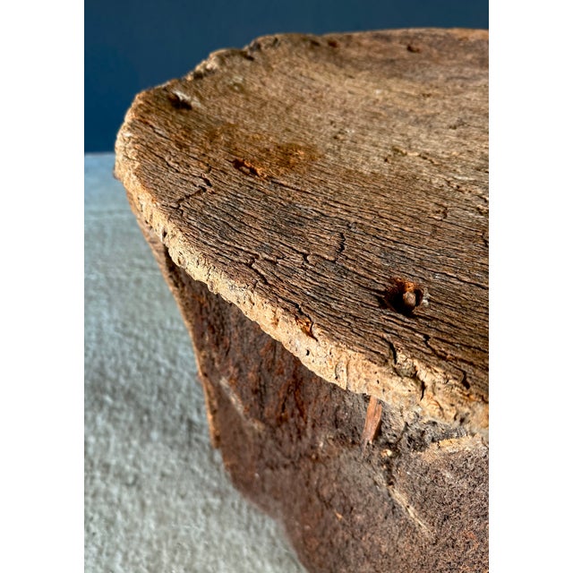 Artisan Cork Side Table, Portugal, Early 20th Century For Sale - Image 15 of 18