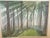 Design Plus Gallery presents "Forests Ancient" by Richard Greene in 1977. The limited edition, 5 of 100, has a captivating...