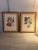 Traditional French Botanic Prints in Burled Wood Frames, a Pair Set of 2 botanical, a pair of pears and cluster of fresh...
