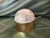 Early 21st Century Anna Ny Gold Plated Sugar (With Spoon) & Creamer Set - 3pcs For Sale - Image 5 of 6