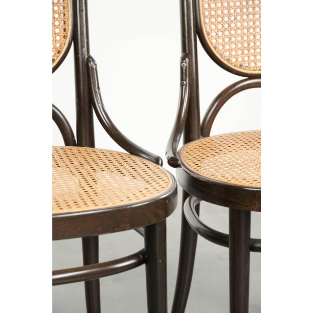 Vintage Long John Webbing Dining Chairs from Thonet, Set of 6 For Sale - Image 13 of 18