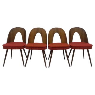 Dining Chairs by Antonín Šuman, 1960s, Set of 4 For Sale