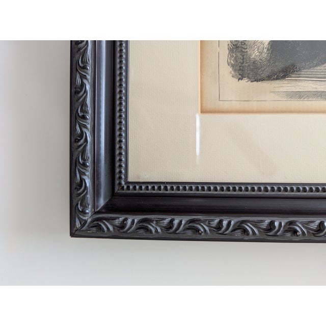 Vintage woodcut illustration titled "Hundemarkt in Apolda" (Dog market in Apolda), originally created in 1870 as part of a...