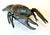 Large Japanese Bronze Lobster Okimono Meiji Period For Sale - Image 11 of 12