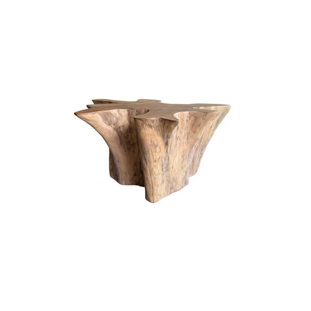 Sculptural Solid Teak Wood Sofa Table With Natural Grain & Bleached Finish For Sale - Image 6 of 11