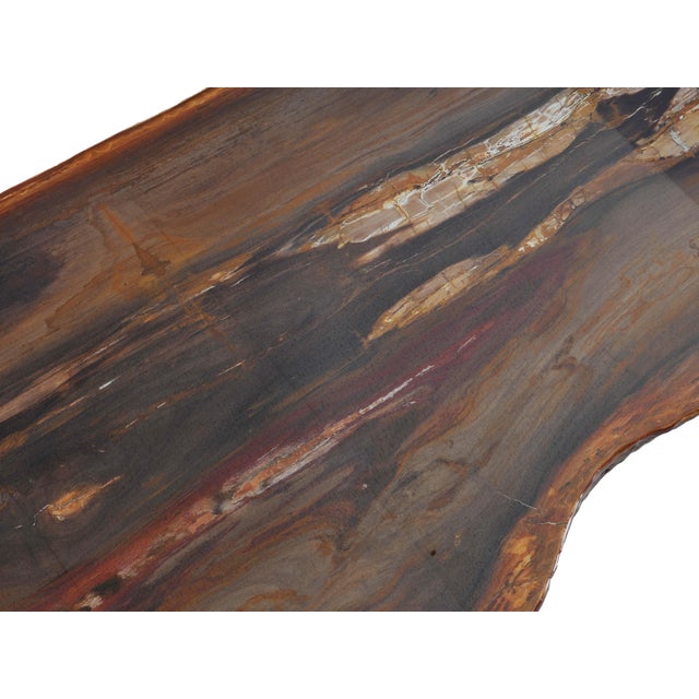 Epoxy Coated Petrified Wood Coffee Table by Xyleia Petrified Wood For Sale - Image 6 of 7