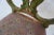 Late 19th Century Green Painted Chair With Beautiful Needlepoint Seat For Sale - Image 14 of 16