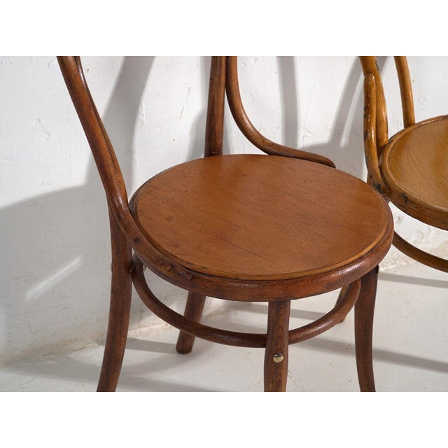 Brown Antique Chairs from Thonet, Set of 2 For Sale - Image 8 of 10