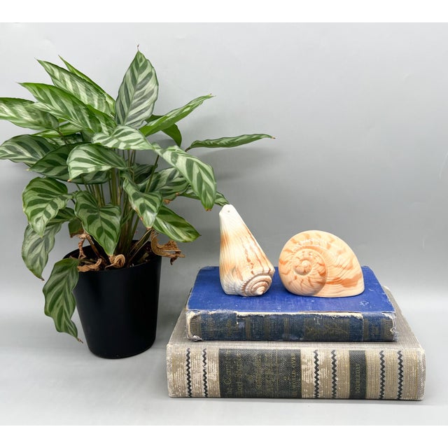 Charming vintage salt and pepper shaker set by Otagiri, beautifully sculpted in naturalistic conch and spiral shell forms....