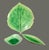 Late 20th Century Costa-Nova Portugal Hand Painted Ceramic Set of 3 Green Leaf Dip Plates Bowls For Sale - Image 6 of 10