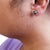 Haus of Brilliance 14K White Gold 4.00 Cttw Round Brilliant-Cut Black Diamond Bezel-Set Stud Earrings with Screw Backs (Fancy Color-Enhanced, I2-I3 Clarity) For Sale - Image 4 of 5