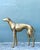 Vintage Monumental Brass Greyhound For Sale - Image 4 of 16
