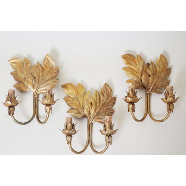 Hollywood Regency Gilt Acanthus Leaf Wall Lights, 1950s, Set of 3 For Sale - Image 9 of 17