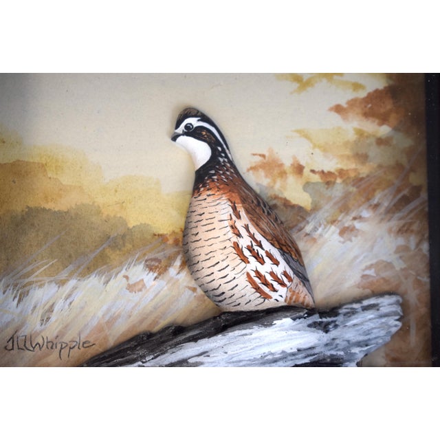 Hand Painted Bob White Quail Composition Relief Sculpture & Landscape by Joseph Q. Whipple (Signed & Dated 10/84) For Sale - Image 4 of 5