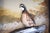 Hand Painted Bob White Quail Composition Relief Sculpture & Landscape by Joseph Q. Whipple (Signed & Dated 10/84) For Sale - Image 4 of 5
