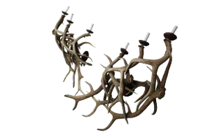 Antler Sconces - a Pair of 1970s Three Arm Deer Antler Sconces