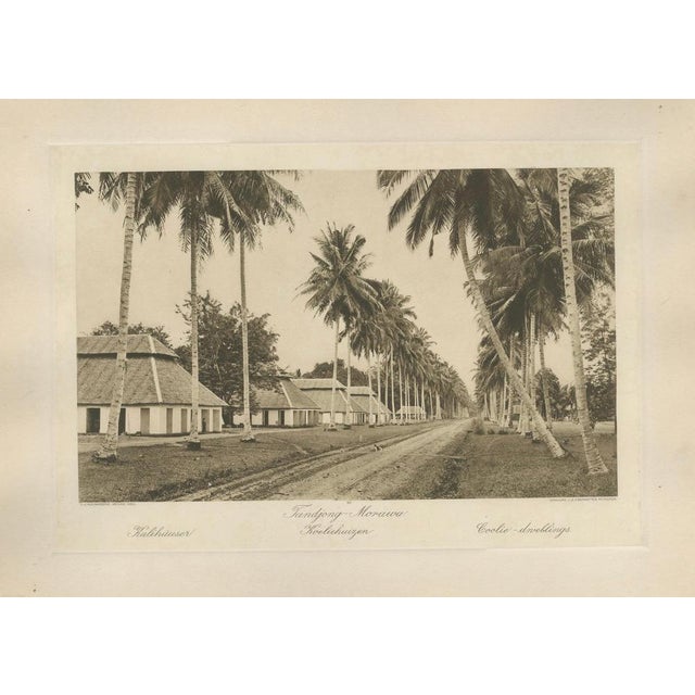 Coolie dwellings – tandjong-morawa, sumatra (kleingrothe, c.1900) a striking and historically significant original...