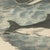 Carl Friedrich August, Sperm Whale with Porpoise and Seals, Kolb Mammals, 1890, Print For Sale - Image 6 of 12