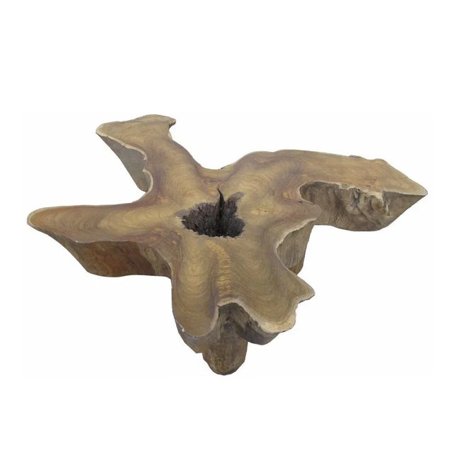 Coffee Free Form Brown One Slab Teak Living Edge Coffee Table For Sale - Image 8 of 8