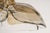 1960s German Murano Glass Chandelier by Kalmar, 1960s For Sale - Image 5 of 15