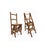 Metamorphic Wooden Folding Library Stepladder, 1890s For Sale - Image 17 of 17