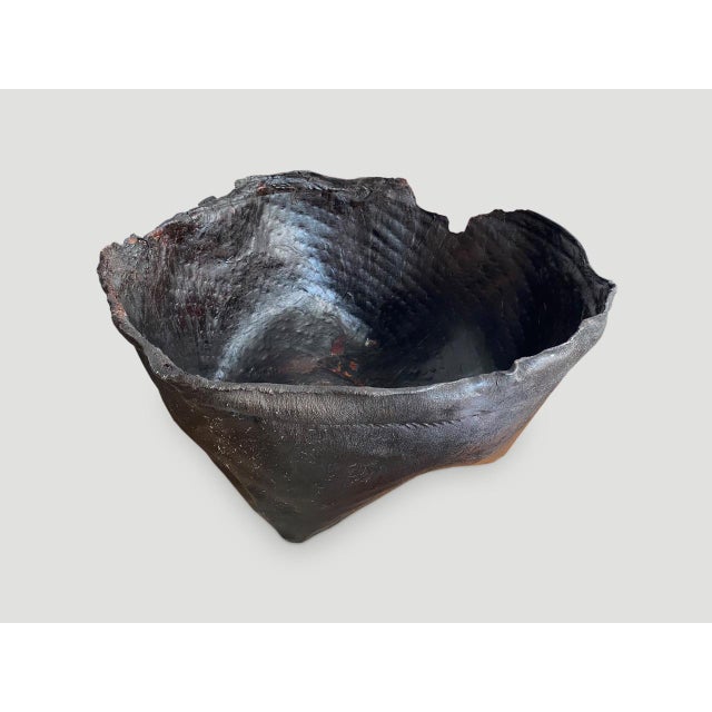 Polished Buffalo Hide Container For Sale - Image 17 of 18